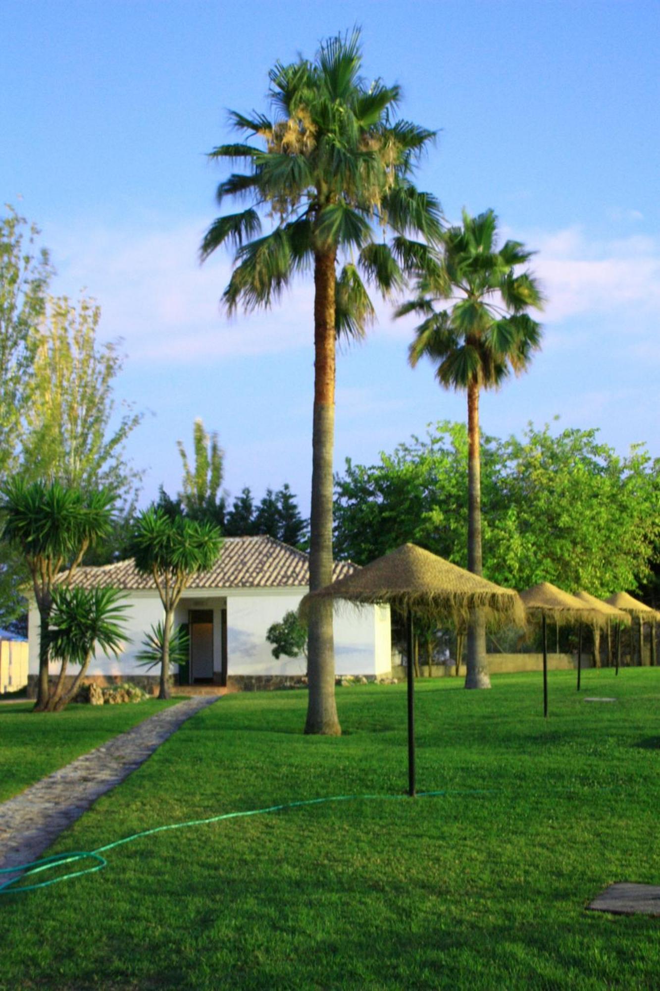 Camping Sierra De Las Nieves Yunquera Zewnętrze zdjęcie